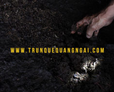 trang-trai-trun-que-6